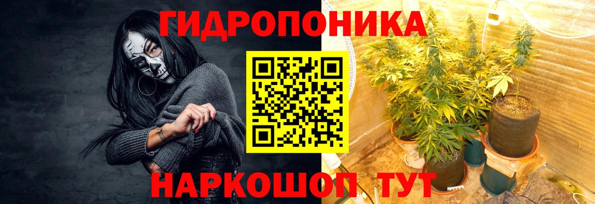 Бошки марихуана Bruce Banner  Вход с VPN  Марихуана семена  Коломна  Каннабис планчик  Бошки марихуана VHQ 
